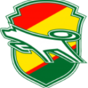JEF United Ichihara Chiba